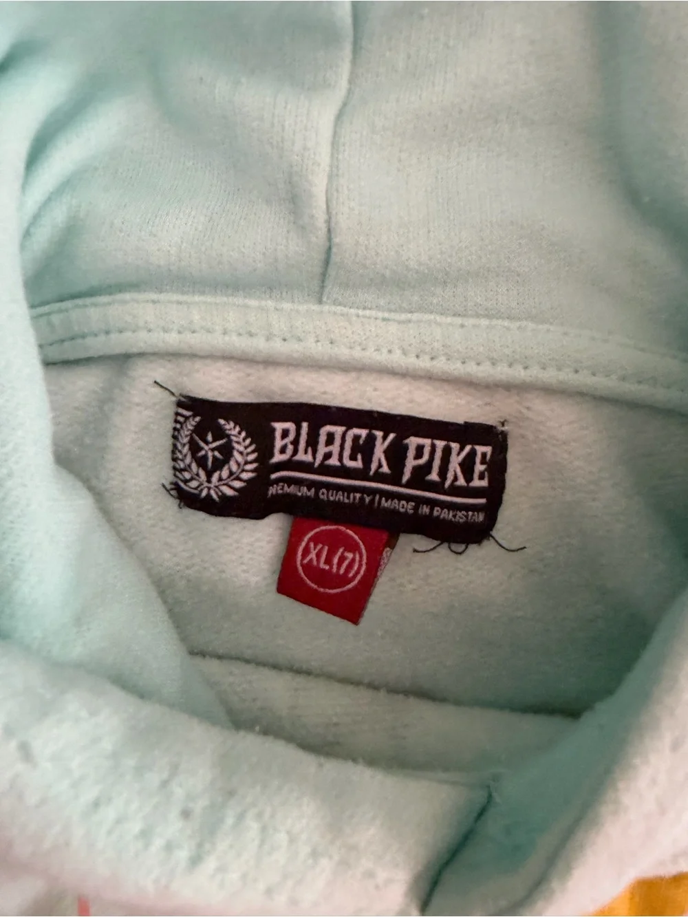 Kids Light Mint Graphic Hoodie & Jogger Set - LEGEND